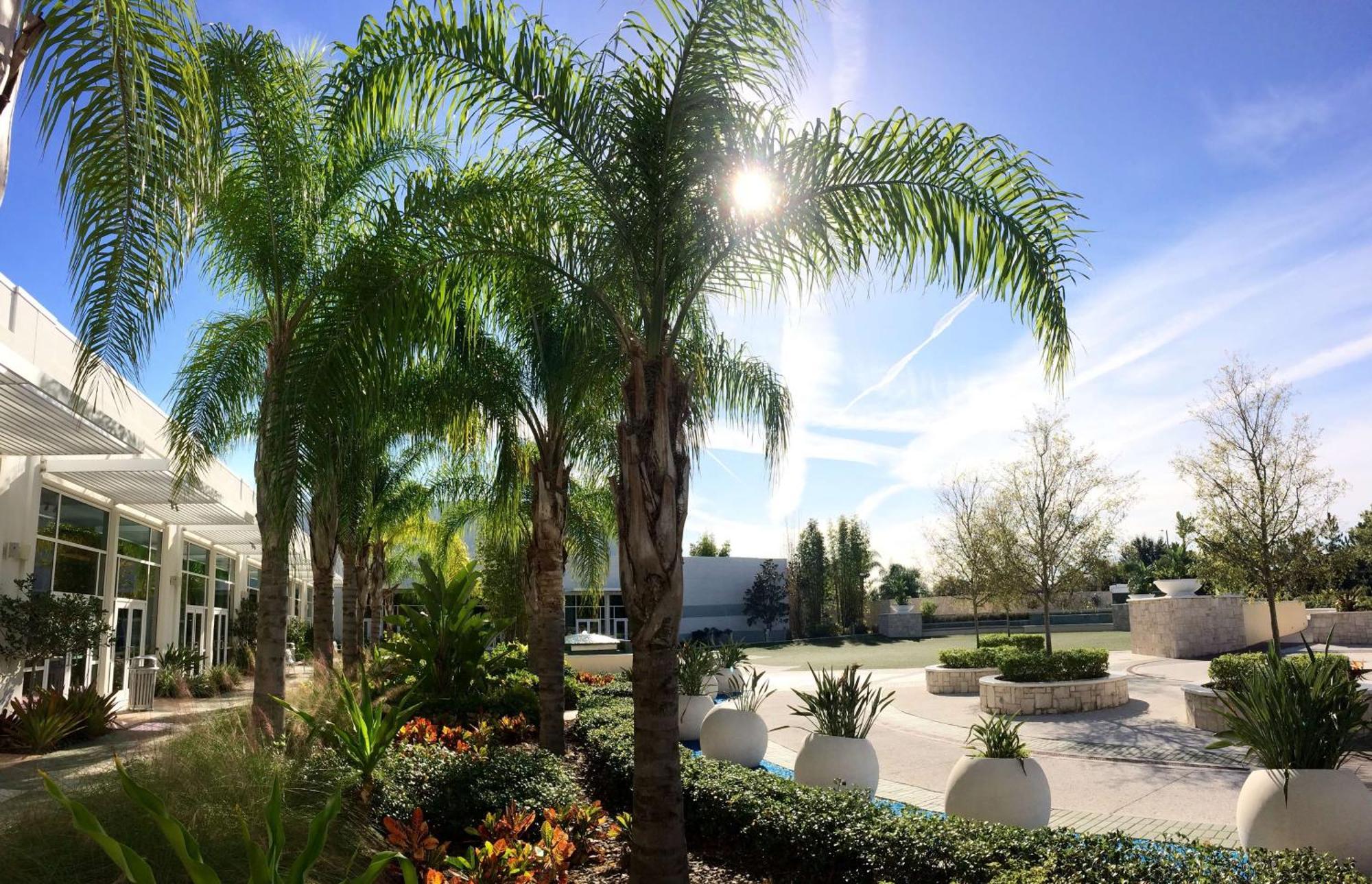 Hilton Orlando Hotel Williamsburg Eksteriør billede